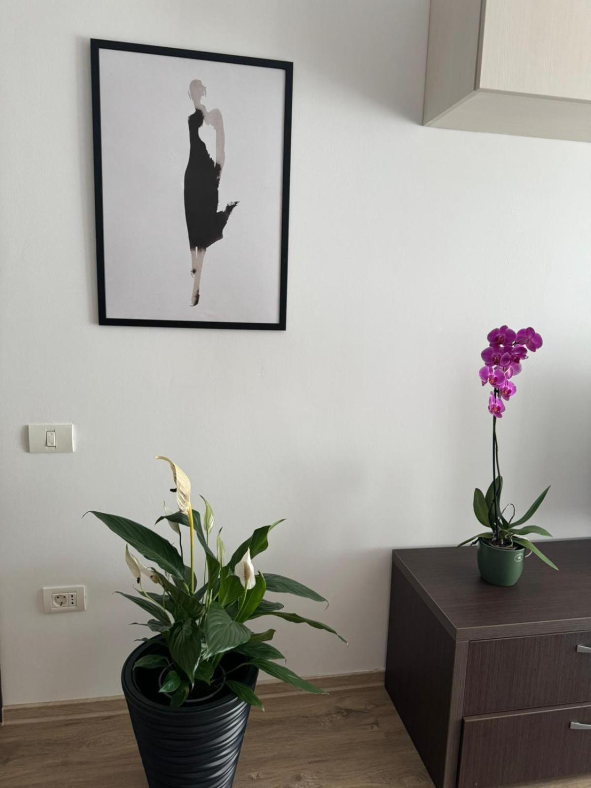 Apart Mihai Viteazu Residence Braşov Exterior foto